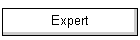 Expert