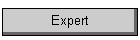 Expert